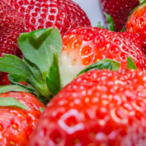 허브애향 스트로베리 (프리미엄) 프레그런스오일, 스트로베리 (딸기향)500