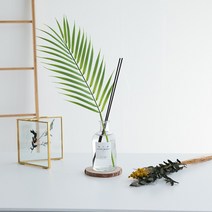 센트홀릭 이레카야자 조화 천연 실내디퓨저 대용량 200ml, 클린코튼