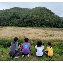 유기농밀가루 [지리산우리밀] 앉은키백밀가루/통밀가루, 앉은키백밀가루 1kg
