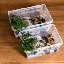 페닌슐라쿠터 거북이 어항 키우기 청거북 테라스 조경, 초대형조경(투명)선물패키지