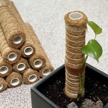 수태봉 몬스테라 식물 지지대 코코넛봉 연결형 플라스틱 우드, 유칼립투스(방수)우드, 60cm, 1개