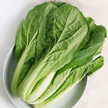 당일수확발송 경기 포천 어린 얼갈이 배추 2kg