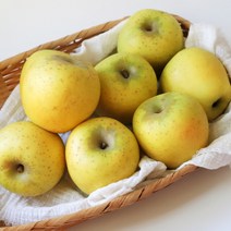 산지직송 사과 경북 시나노골드 스위트 황금사과, 1개, 골드 가정용-한입 2kg(14-16)