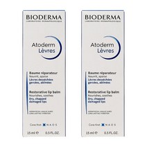 BIODERMA 바이오더마 아토덤 레스토러티브 립 밤 15ml 2팩