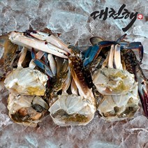 대천해 국내산 손질 절단꽃게 350g