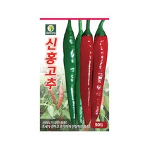 고추씨앗 신홍고추 50립 재래종 모양 다수확 매운고추 + 네임택, 단품