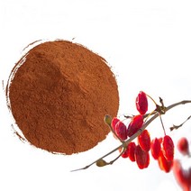 산수유추출분말 100g 샘플, 단품, 단품