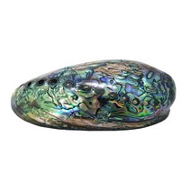 한소픈 여름 장식 소품 조개 소라 껍질 48종 모음 여름디스플레이 인테리어 테마소품 자연 제품 고동, 29.전복