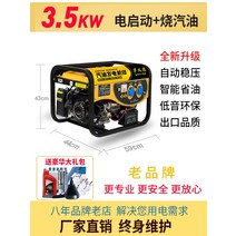가정용 가솔린발 220V 소형차 단상 3KW 천여행 자가발전기, T05-3500w 손전등 더블 스타트휘발유를