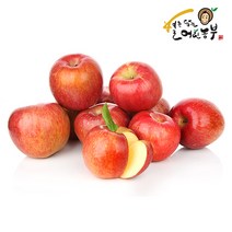 [별담농]22년 햇부사 2.5kg~10kg 가정용/주스용, 햇부사5kg중과(19-22)