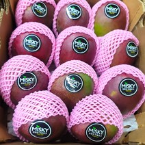 페루 애플망고 대과, 1box, 7-10입 4kg