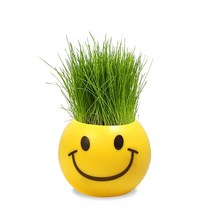 실내정원 홈잔디 머리 인형 DIY 식물 실내 정원 발코니 화병 꽃 화분, 01 Smile Grass Head