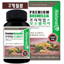 인도산 100% 보스웰리아 수액 추출분말 60정 보스웰릭산 유향나무 테르페노이드 리모넨 마그네슘 HACCP인증
