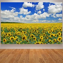 복들어오는 해바라기 액자 그림 집들이선물 현대 포스터 꽃 월 아트 캔버스 프린트 집 식당 장식 소박한 벽 거실 Cuadros, 10 10_02 30X40cm Unframed