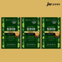 고함량 징코 기억력 혈액순환 약1달 뇌 두뇌 다리 손발 저림 영양제 인지력 에좋은 혈행 혈관 개선 메디 부모님 수험생 감퇴 식약청 식약처 집중력 청소 여성 중외제약 징코 120, 3개