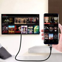 스마트폰 TV연결 C타입 안드로이드 삼성 LG 미러링 케이블 DEX 넷플릭스 유튜브 연결 HDMI 선 TV, C타입 미러링케이블(넷플릭스), 2M