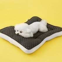페스텝 이중누빔 탄탄이 베개일체형 강아지방석 올그레이 국내제작 고양이 애견 쿠션, M