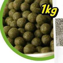 인도모링가 모링가환 모닝가 인도산 모린가 1kg