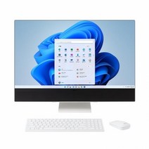 LG전자 27V70Q-GA70K (WIN11홈) 일체형PC + RAM 8GB 추가 (총16GB) + SSD 250GB 추가