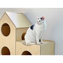 펫 원목 화이트 이층집 고양이집 숨숨집 대형 이층집 국산 고양이 스크래처, 세모지붕원목집(+10000원), 카페트타일 50×35(+10000원)