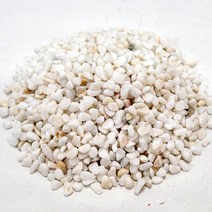 한소픈 흰자갈돌 (미니) 500g 가드닝소품 수경재배 마당돌 스몰월드 미술재료