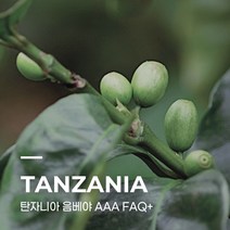 [생두] 탄자니아 음베야 AAA FAQ+ 10kg