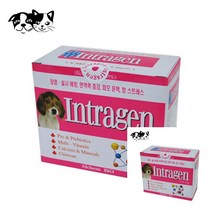 인트라젠 30P 강아지 영양제 펫영양제 애완견장영양제