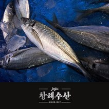 제주어가 [무료배송](각재기)제주어가 명품 전갱이 중, 1box, 7마리