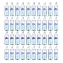 동아오츠카 라인바싸 탄산수 500ml 20 40 60개 pet 플레인 자몽 레몬 1박스, 라인바싸 탄산수 500ml 플레인 40개