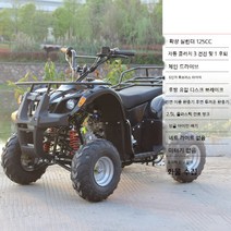 산악바이크 ATV 4륜 오프로드 오토바이 125CC 150CC 8인치휠 10인치휠 어르신, 1/125CC/체인/6인치/후면디스크/2.5L