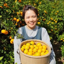 제주 햇 하우스감귤 가정용 선물용 2 3 5kg, 01.제주 하우스감귤 가정용 2kg 소과