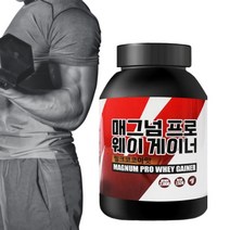 단백질 보충제 파우더 프로틴 게이너 밀크코코아맛 쿠키앤크림맛 근육증가 헬스, 매그넘프로 웨이 게이너 2kg 밀크코코아맛