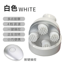 고양이마사지기 휴대용 반려 애완 머리 브러시 동물, 화이트버튼타입