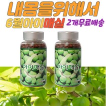 6월매실 유기산 칼슘 인 시트르산 엄마 여성 간식 국산 매실환 아이매실 무기질 비타민 온가족 매실효능 매실 국산 환 아미노산 할머니 할아버지 간편 선물