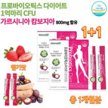 프로바이오틱스 가르니시아 HCA 유산균 다이어트 보조제 프로바이오 스틱 스틱스 20대 30대 40대 여성 남성 운동선수 청소년 고등학생 수험생 성인 다이어트 가루 분말 약 1개월분, 2.5g 30포 x 2통묶음