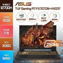 ASUS TUF Gaming F17 FX707ZM-HX037 최신 인텔 12세대 i7 RTX3060 17인치 고사양 고성능 배그 노트북, 메카 그레이, FX707ZM, 코어i7, 1TB, 16GB, WIN11 Pro