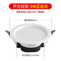 센서등 led센서 손전등 빛과소리 임베디드 컨트롤 입식 천장 램프통로 계단 복도 현관 후레쉬 가정용, T01-빛과소리 컨트롤 25inch5와