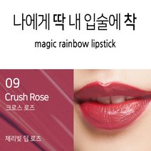 피부까지 화사하게 잘 지워지지않는 착색 립스틱 10종, 1개, 09 크러쉬 로즈