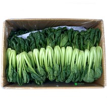 비타민(1.8kg - 2kg), 1개