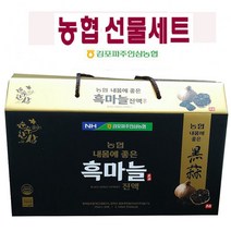 농협선물세트 흑마늘진액 액상차