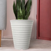 40cm 큰 화분 높은 식물 산세베리아 타이거하니 여인초 키우기, 블랙