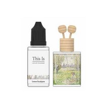 차량용 방향제 자동차 디퓨저 디스이즈 레몬유칼립투스 본품15ml 리필30ml 신차 새차 선물 디퓨져 차방향제, 쿠팡 1, 쿠팡 본상품선택