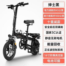 접는 전기 자전거 새로운 국가 표준 리튬 배터리 휴대용 소형 운전 배터리 자동차 초경량 파워 스쿠터 여성, 48v, 20아, 2-10배 충격 흡수 - 순수 전기 약 50km -