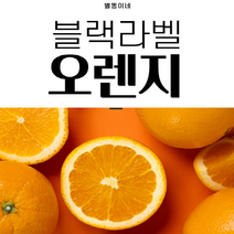 고당도 퓨어스펙 블랙라벨오렌지 썬키스트오렌지 대과, 4.8kg((20과)