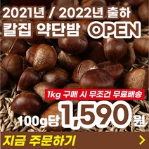 22년 출하 칼집 약단밤 생율밤 햇밤 맛밤 약밤 에어프라이어군밤 1kg, 약단밤 (21년저장), 1개입