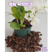 숙성 화분갈이바크12L 소나무 껍질 서양란분갈이전용 블루베리 아로니아 원예 조경용 파충류바닥재