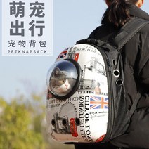 애완 동물 고양이 가방 대용량 외출 이동 배낭 강아지 공간 산책 백팩 펫백 용품, C