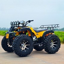 오토바이 사륜 4륜 125cc 버기카 소형 팜트럭 ATV 효도선물, 4. 패키지D(작은빅불)_완전조립