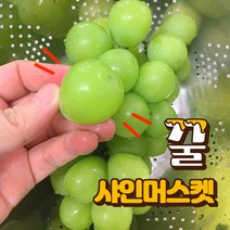 캔디처럼 달콤한 샤인머스켓 2kg 4수 또는 3수 망고 포도