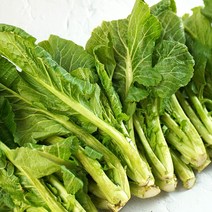 [여수] 돌산갓 여수돌산갓 돌산생갓 햇갓 1kg /, 여수 돌산갓 생갓 1kg